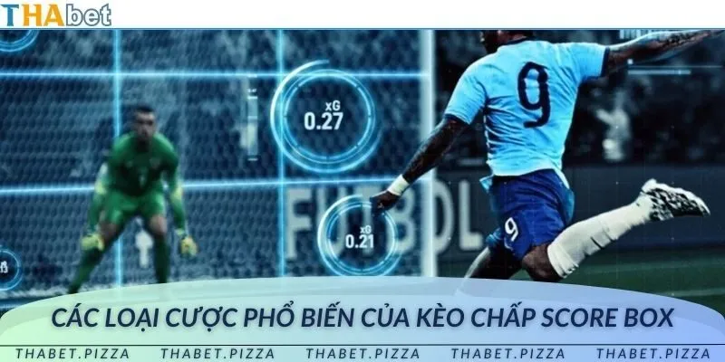 Những loại cược cơ bản trong kèo chấp score box bạn nên biết