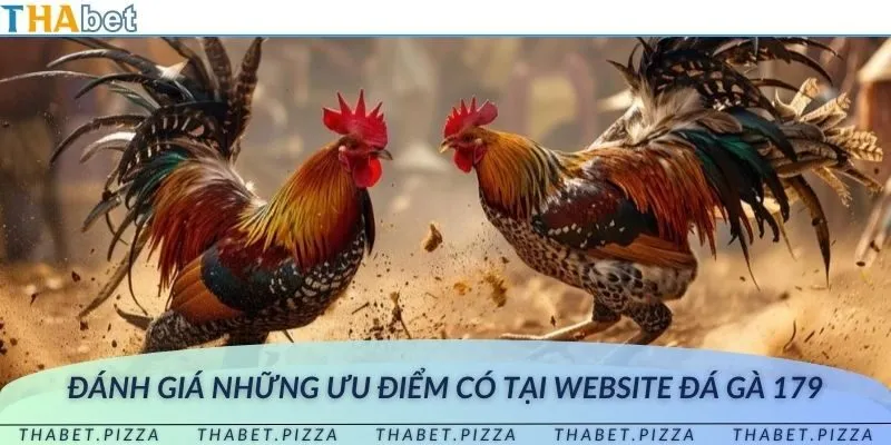 Những ưu điểm nổi bật của website đá gà trực tuyến 179